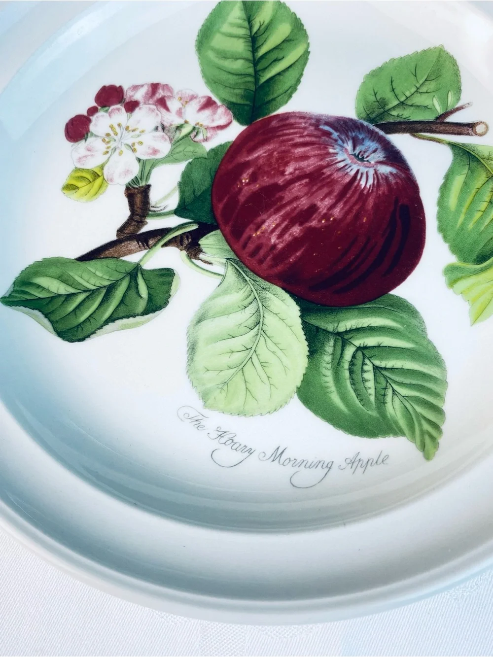 Portmeirion Dinner Plate “The Hoary Morning Apple” 10- 1/2”